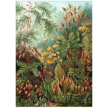 puzzleplate Moss (Muscinae) - Art Forms in Nature, Vintage Art Poster, Ernst Haeckel 1000 Jigsaw Puzzle