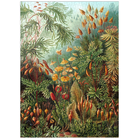 puzzleplate Moss (Muscinae) - Art Forms in Nature, Vintage Art Poster, Ernst Haeckel 1000 Jigsaw Puzzle