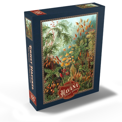 Moss (Muscinae) - Art Forms in Nature, Vintage Art Poster, Ernst Haeckel 100 Jigsaw Puzzle box view1