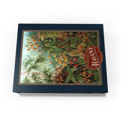 Moss (Muscinae) - Art Forms in Nature, Vintage Art Poster, Ernst Haeckel 100 Jigsaw Puzzle box view1