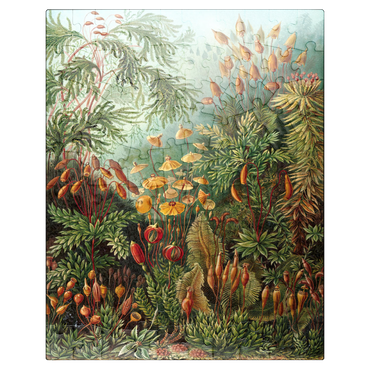 puzzleplate Moss (Muscinae) - Art Forms in Nature, Vintage Art Poster, Ernst Haeckel 100 Jigsaw Puzzle