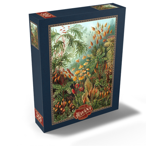 Moss (Muscinae) - Art Forms in Nature, Vintage Art Poster, Ernst Haeckel 300 Jigsaw Puzzle box view2
