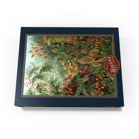 Moss (Muscinae) - Art Forms in Nature, Vintage Art Poster, Ernst Haeckel 300 Jigsaw Puzzle box view3