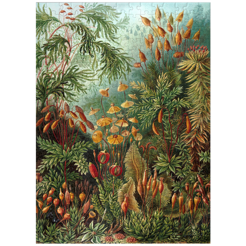 puzzleplate Moss (Muscinae) - Art Forms in Nature, Vintage Art Poster, Ernst Haeckel 300 Jigsaw Puzzle