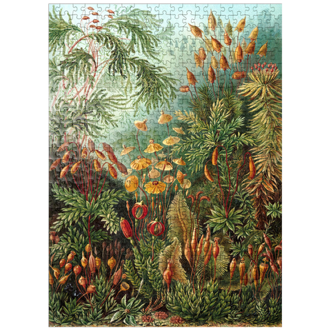 puzzleplate Moss (Muscinae) - Art Forms in Nature, Vintage Art Poster, Ernst Haeckel 500 Jigsaw Puzzle