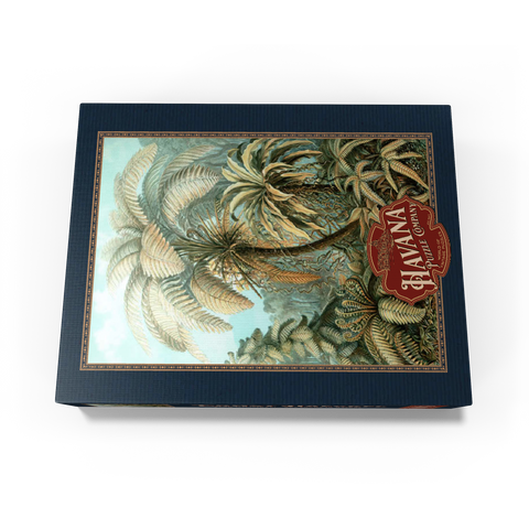 Fern (Filicinae) - Art Forms in Nature, Vintage Art Poster, Ernst Haeckel 1000 Jigsaw Puzzle box view1