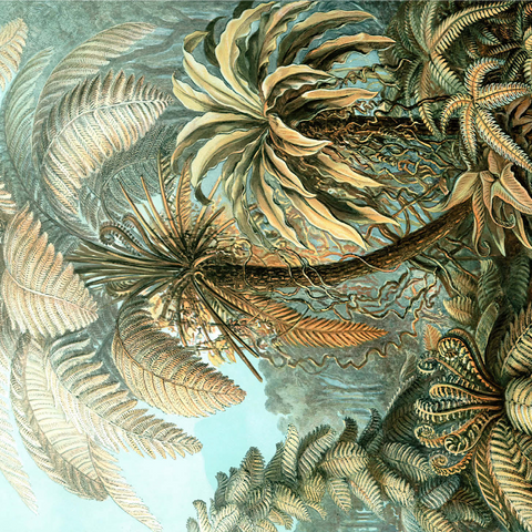 Fern (Filicinae) - Art Forms in Nature, Vintage Art Poster, Ernst Haeckel 1000 Jigsaw Puzzle 3D Modell