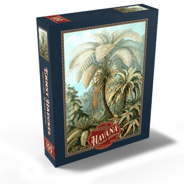 Fern (Filicinae) - Art Forms in Nature, Vintage Art Poster, Ernst Haeckel 100 Jigsaw Puzzle box view1