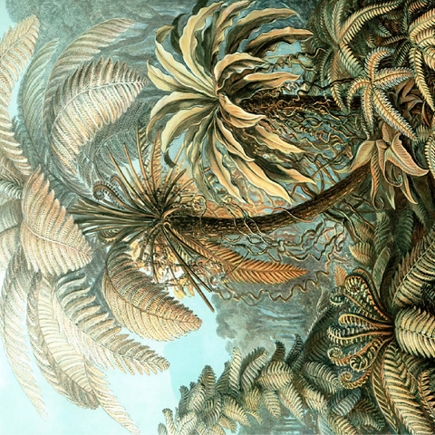 Fern (Filicinae) - Art Forms in Nature, Vintage Art Poster, Ernst Haeckel 100 Jigsaw Puzzle 3D Modell
