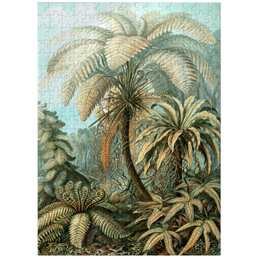 puzzleplate Fern (Filicinae) - Art Forms in Nature, Vintage Art Poster, Ernst Haeckel 300 Jigsaw Puzzle