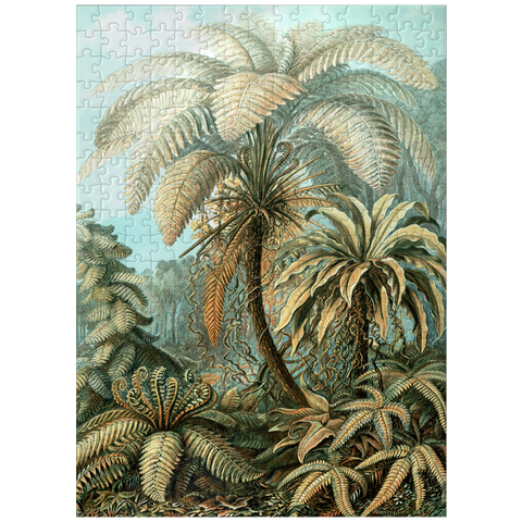 puzzleplate Fern (Filicinae) - Art Forms in Nature, Vintage Art Poster, Ernst Haeckel 300 Jigsaw Puzzle