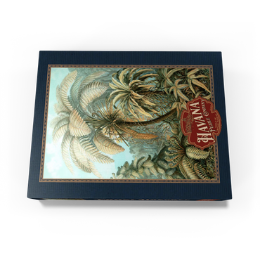 Fern (Filicinae) - Art Forms in Nature, Vintage Art Poster, Ernst Haeckel 500 Jigsaw Puzzle box view1