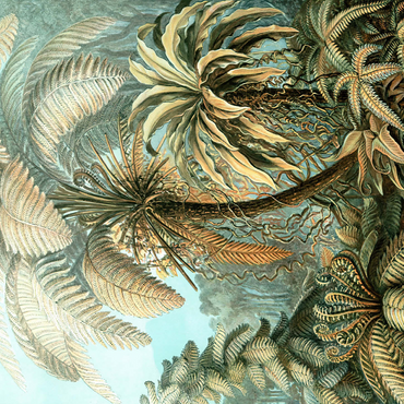 Fern (Filicinae) - Art Forms in Nature, Vintage Art Poster, Ernst Haeckel 500 Jigsaw Puzzle 3D Modell