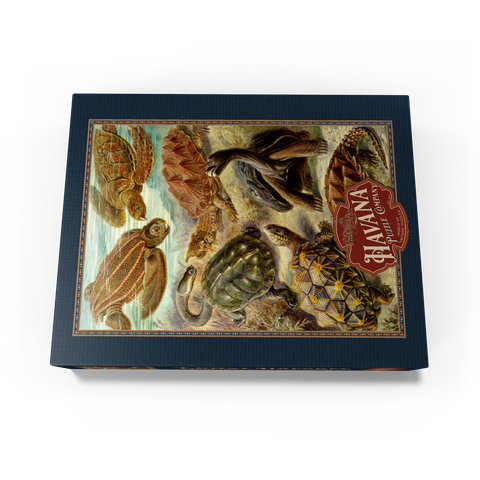 Turtle (Chelonia) - Art Forms in Nature, Vintage Art Poster, Ernst Haeckel 1000 Jigsaw Puzzle box view1
