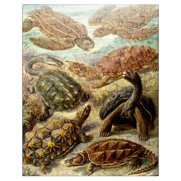 puzzleplate Turtle (Chelonia) - Art Forms in Nature, Vintage Art Poster, Ernst Haeckel 100 Jigsaw Puzzle