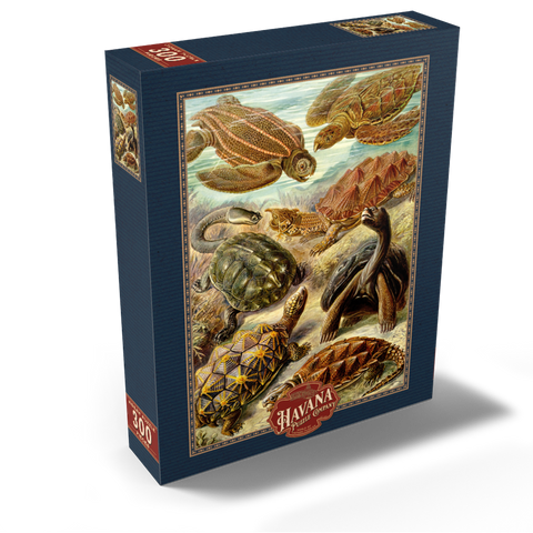 Turtle (Chelonia) - Art Forms in Nature, Vintage Art Poster, Ernst Haeckel 300 Jigsaw Puzzle box view2