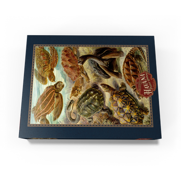 Turtle (Chelonia) - Art Forms in Nature, Vintage Art Poster, Ernst Haeckel 300 Jigsaw Puzzle box view3