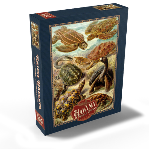 Turtle (Chelonia) - Art Forms in Nature, Vintage Art Poster, Ernst Haeckel 500 Jigsaw Puzzle box view1