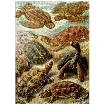 puzzleplate Turtle (Chelonia) - Art Forms in Nature, Vintage Art Poster, Ernst Haeckel 500 Jigsaw Puzzle