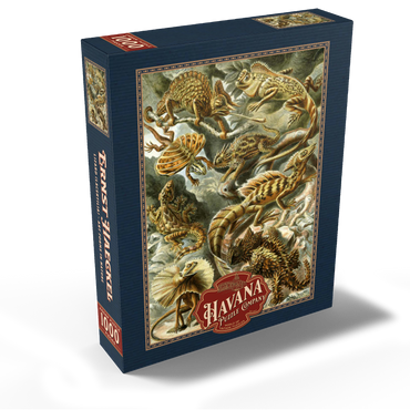 Lizard (Lacertilia) - Art Forms in Nature, Vintage Art Poster, Ernst Haeckel 1000 Jigsaw Puzzle box view1
