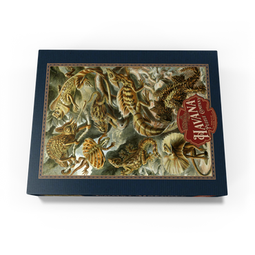 Lizard (Lacertilia) - Art Forms in Nature, Vintage Art Poster, Ernst Haeckel 1000 Jigsaw Puzzle box view1