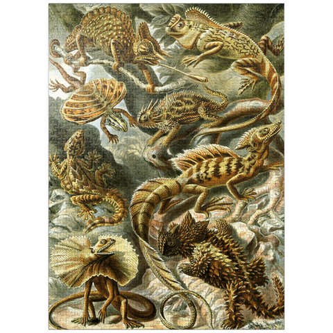 puzzleplate Lizard (Lacertilia) - Art Forms in Nature, Vintage Art Poster, Ernst Haeckel 1000 Jigsaw Puzzle