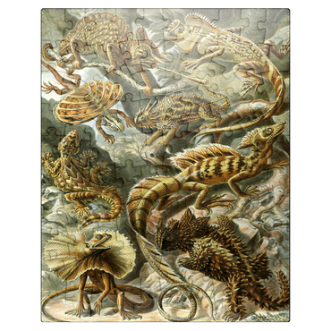 puzzleplate Lizard (Lacertilia) - Art Forms in Nature, Vintage Art Poster, Ernst Haeckel 100 Jigsaw Puzzle