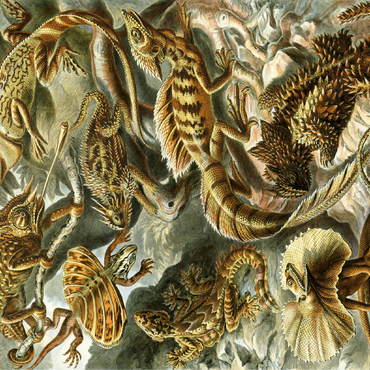 Lizard (Lacertilia) - Art Forms in Nature, Vintage Art Poster, Ernst Haeckel 100 Jigsaw Puzzle 3D Modell