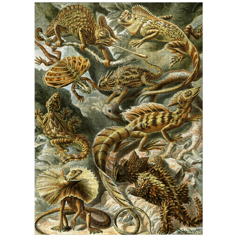 puzzleplate Lizard (Lacertilia) - Art Forms in Nature, Vintage Art Poster, Ernst Haeckel 300 Jigsaw Puzzle
