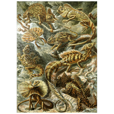 puzzleplate Lizard (Lacertilia) - Art Forms in Nature, Vintage Art Poster, Ernst Haeckel 500 Jigsaw Puzzle