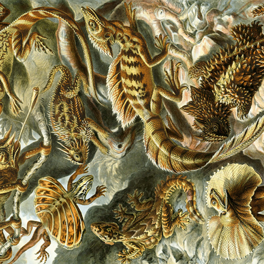 Lizard (Lacertilia) - Art Forms in Nature, Vintage Art Poster, Ernst Haeckel 500 Jigsaw Puzzle 3D Modell