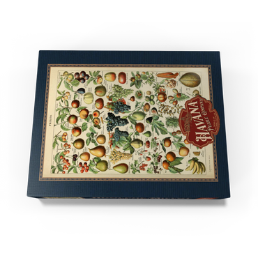 Fructus - Fruits For All, Vintage Art Poster, Adolphe Millot 1000 Jigsaw Puzzle box view3