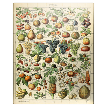 puzzleplate Fructus - Fruits For All, Vintage Art Poster, Adolphe Millot 100 Jigsaw Puzzle