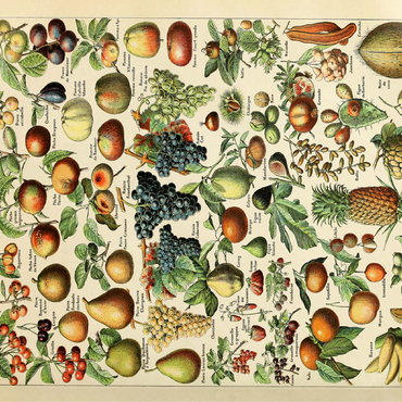 Fructus - Fruits For All, Vintage Art Poster, Adolphe Millot 100 Jigsaw Puzzle 3D Modell