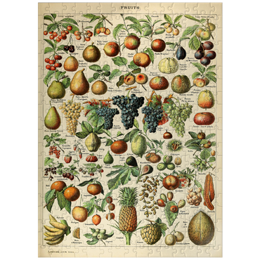 puzzleplate Fructus - Fruits For All, Vintage Art Poster, Adolphe Millot 300 Jigsaw Puzzle