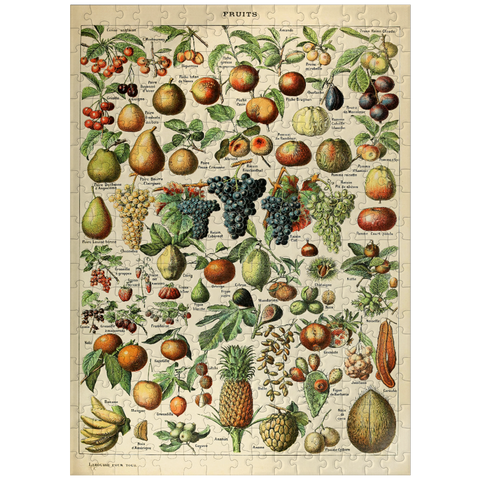 puzzleplate Fructus - Fruits For All, Vintage Art Poster, Adolphe Millot 300 Jigsaw Puzzle