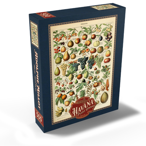 Fructus - Fruits For All, Vintage Art Poster, Adolphe Millot 500 Jigsaw Puzzle box view2