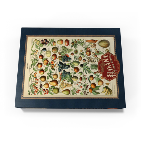 Fructus - Fruits For All, Vintage Art Poster, Adolphe Millot 500 Jigsaw Puzzle box view3