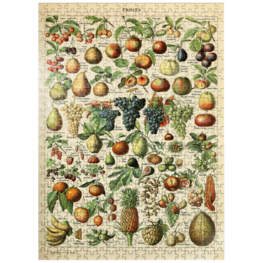 puzzleplate Fructus - Fruits For All, Vintage Art Poster, Adolphe Millot 500 Jigsaw Puzzle