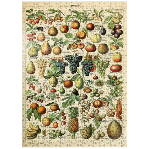 puzzleplate Fructus - Fruits For All, Vintage Art Poster, Adolphe Millot 500 Jigsaw Puzzle