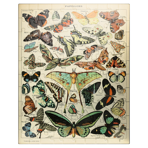 puzzleplate Papillons - Butterflies For All, Vintage Art Poster, Adolphe Millot 100 Jigsaw Puzzle