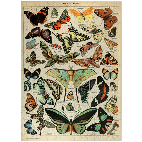 puzzleplate Papillons - Butterflies For All, Vintage Art Poster, Adolphe Millot 300 Jigsaw Puzzle