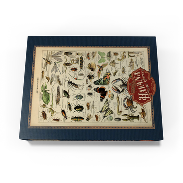 Arthropoda For All, Vintage Art Poster, Adolphe Millot 1000 Jigsaw Puzzle box view1