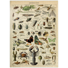 1000
