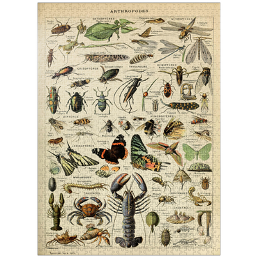 puzzleplate Arthropoda For All, Vintage Art Poster, Adolphe Millot 1000 Jigsaw Puzzle