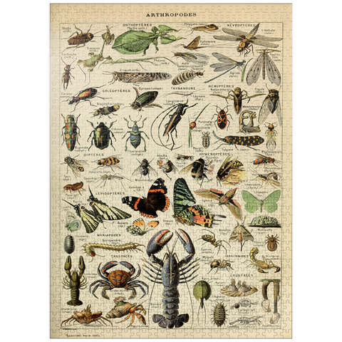 puzzleplate Arthropoda For All, Vintage Art Poster, Adolphe Millot 1000 Jigsaw Puzzle