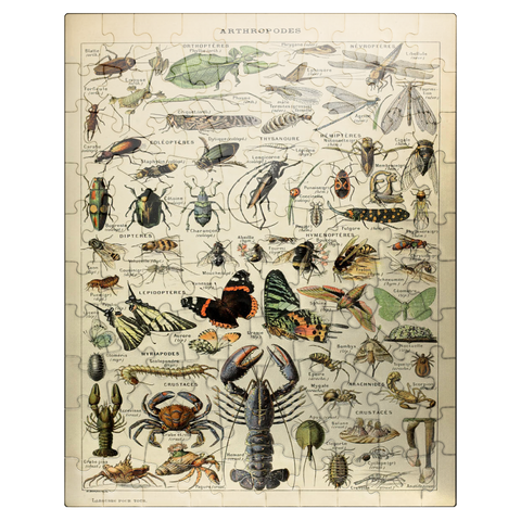 puzzleplate Arthropoda For All, Vintage Art Poster, Adolphe Millot 100 Jigsaw Puzzle