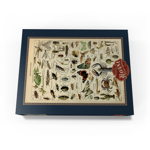 Arthropoda For All, Vintage Art Poster, Adolphe Millot 300 Jigsaw Puzzle box view3