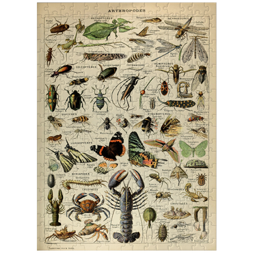 puzzleplate Arthropoda For All, Vintage Art Poster, Adolphe Millot 300 Jigsaw Puzzle