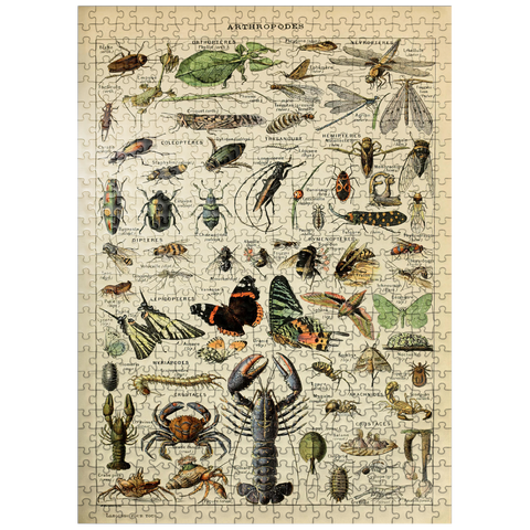 puzzleplate Arthropoda For All, Vintage Art Poster, Adolphe Millot 500 Jigsaw Puzzle
